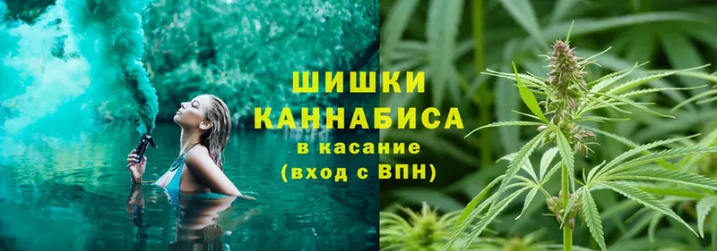 Канабис индика  продажа наркотиков  Заринск 